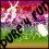 i pure 4 fun