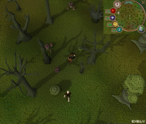 At the heart of Hunted Woods...